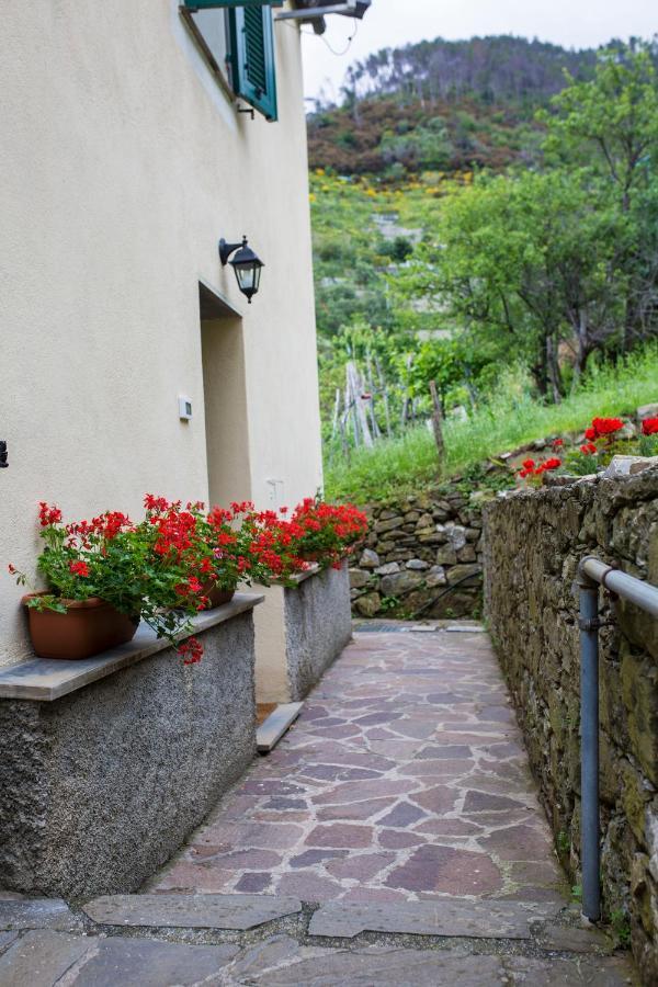 Casa Vacanze Tra Le Mura Леванто Екстериор снимка
