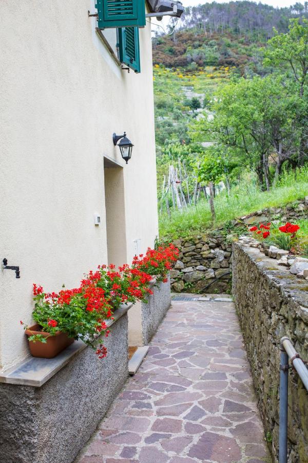 Casa Vacanze Tra Le Mura Леванто Екстериор снимка
