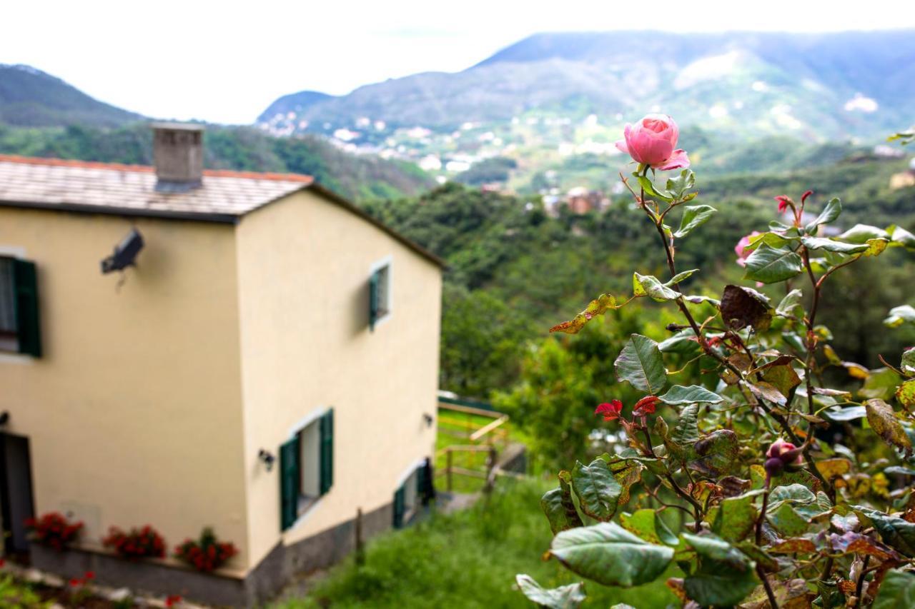 Casa Vacanze Tra Le Mura Леванто Екстериор снимка
